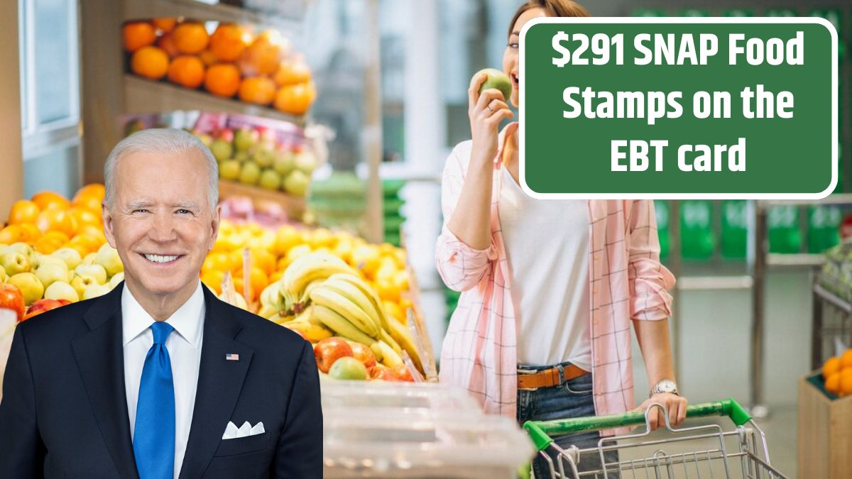 $291 SNAP Food Stamps on the EBT card