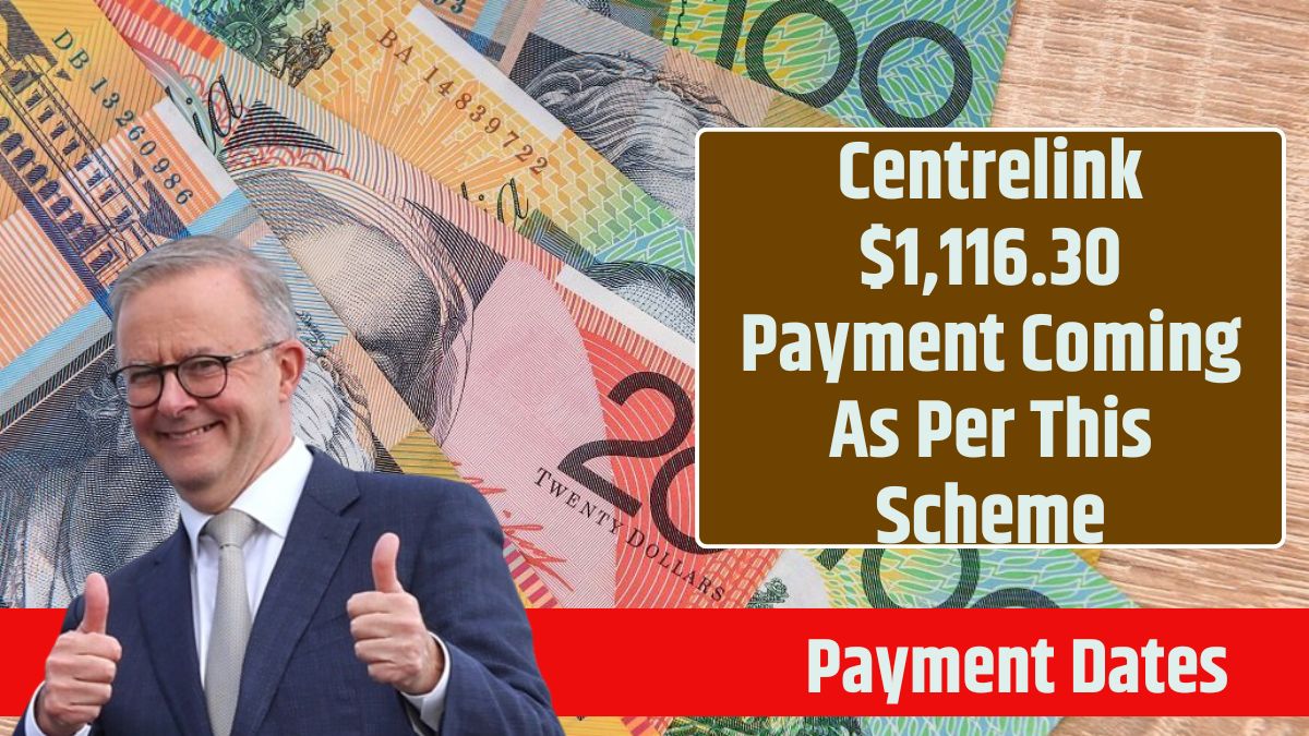 Centrelink $1,116.30 Payment Coming As Per This Scheme