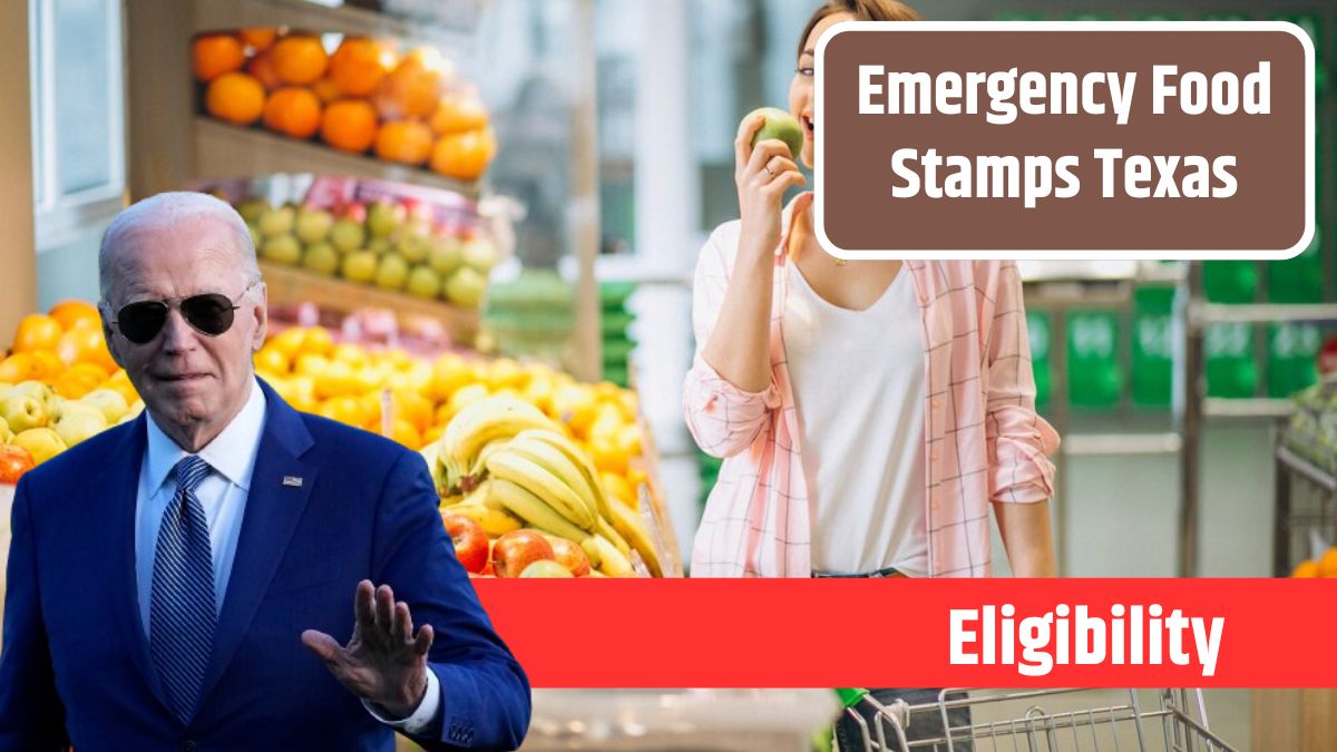 Emergency Food Stamps Texas