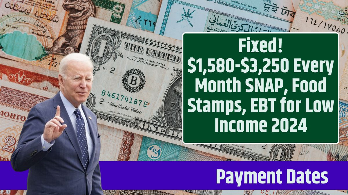 Fixed! $1,580-$3,250 Every Month SNAP, Food Stamps, EBT for Low Income 2024