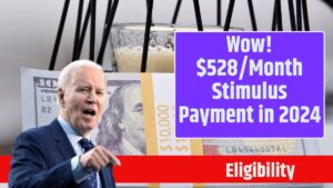 Wow! $528Month Stimulus Payment in 2024